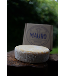 Queijo Canastra com Mofo - 14 dias de maturao - pea inteira