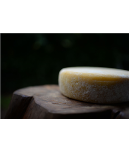 Queijo Canastra com Mofo - 14 dias de maturao - pea inteira