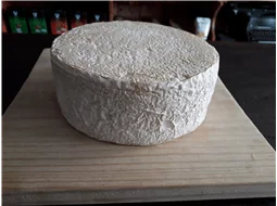 Queijo Canastra do Mauro Mofo Branco