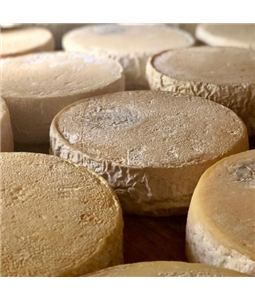 Queijo da Canastra - Queijo do On�sio - Pe�a Inteira - Casca Florida - 15 Dias