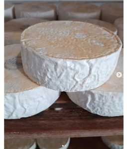 Queijo Minas Artesanal da Canastra - Flor de Ip - Casca florida-14 Dias