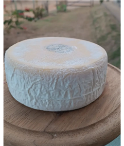 Queijo Minas Artesanal da Canastra - Flor de Ip - Casca florida-14 Dias